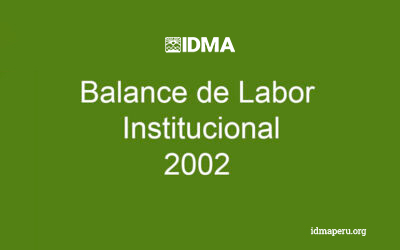 Balance de Labor Institucional 2002