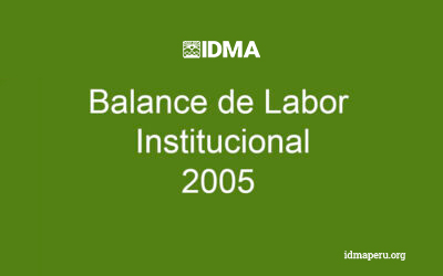 Balance de Labor Institucional 2005
